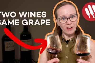 Cabernet Sauvignon (Everything You Need To Know) | Grapes 101