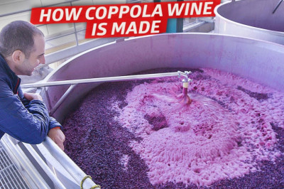 How One of California's Biggest Wineries Produces Over 12 Million Bottles per Year — Dan Does