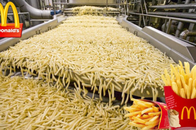 How Are McDonald's French Fries Made - Food Factory