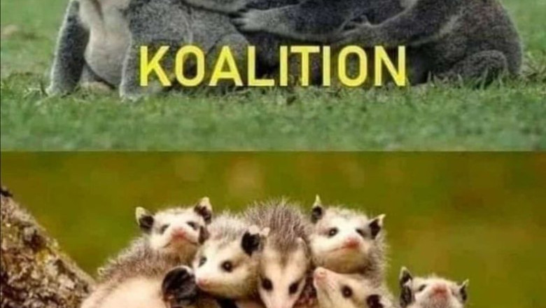 A clear political position!