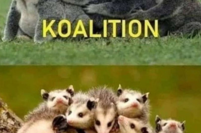 A clear political position!