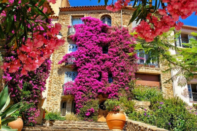 Bormes les Mimosas - The Most Beautiful Villages in France - A Flowery Village Full of Charm
