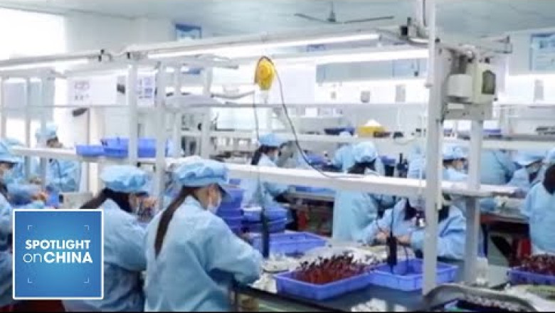 China SMEs face unprecedented difficulties: Bailout comes too late
