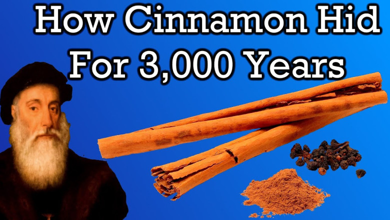 The Mysterious History of Cinnamon