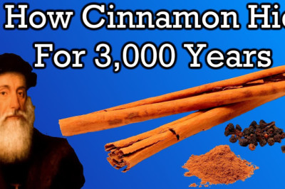 The Mysterious History of Cinnamon