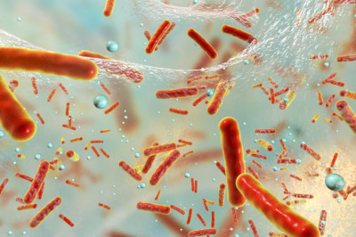 Salmonella and Campylobacter continue to show high levels of antibiotic resistance