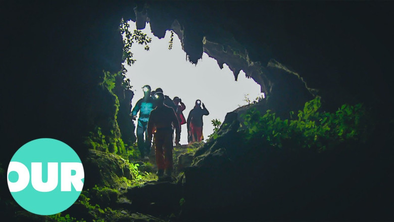 The Underground Forests In Mystery Holes Of Guangxi | Our World