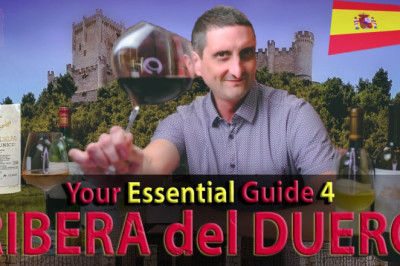 The Best Spanish Wines? Meet Ribera del Duero...