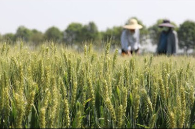 Live: Shanghai holds presser on latest COVID-19 containment measures