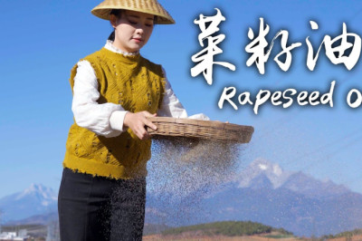 Get Rapeseed Oil to Make Spicy Fried Skewered Food and a Bucket Meal for the Family