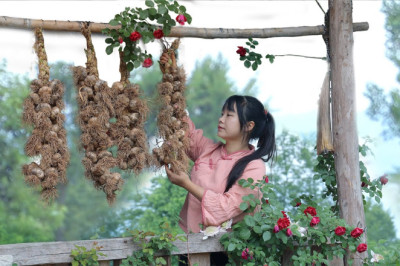 【二米炊烟】Garlic, Secrets of Chinese Cooking. 中國人的烹飪,離不開大蒜