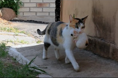 I told her to bring her baby, she's bringing it.