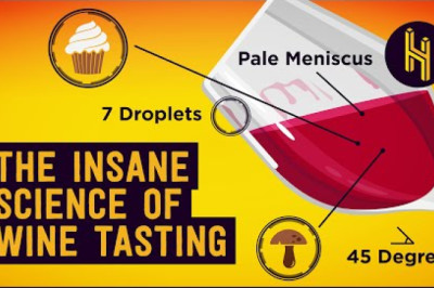 How Sommeliers Can Taste Which Year Wine is From