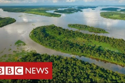 Climate change threat in Congo as vast carbon-rich peat slab faces development - BBC News