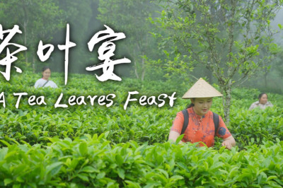 Preparing A Table of Fragrant Tea Leaves Dishes with This Year's Tea Leaves for My Family