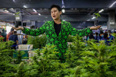 What Thailand’s legalization of marijuana means for Southeast Asia's war on drugs