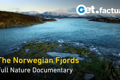The Norwegian Fjords - Life in the Twilight - Full Nature Documentary