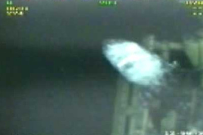 Giant Shark Gulf of Mexico, an oil rig, was filmed.