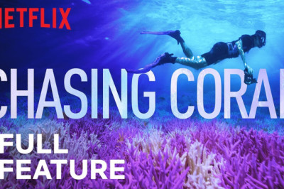 Chasing Coral | FULL FEATURE | Netflix