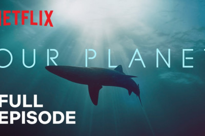 Our Planet | Coastal Seas | FULL EPISODE | Netflix