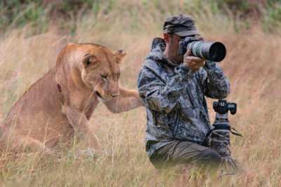 This lioness surprisingly caught the photographer.