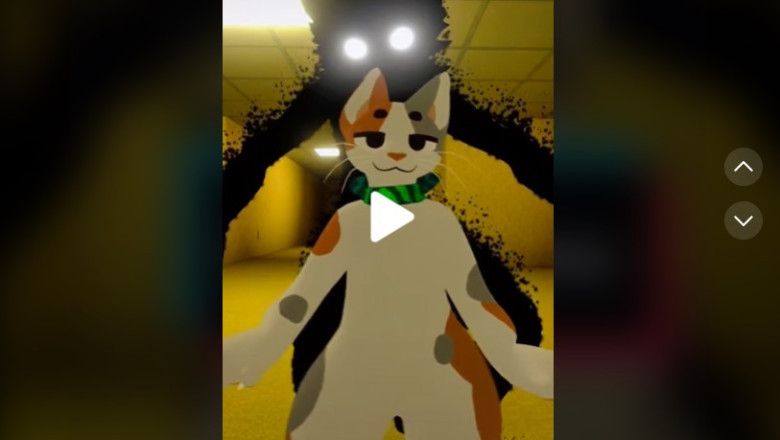 Funny kitty in the backrooms