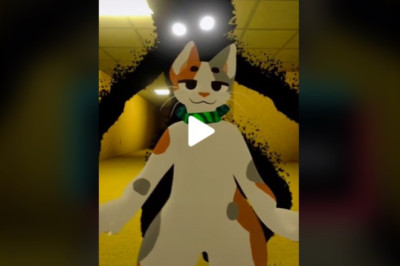 Funny kitty in the backrooms