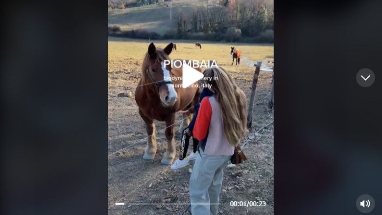 Piombaia, montalcino Tuscany trip, my favorite winery in Italy