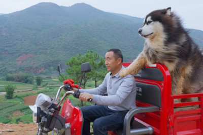 Dawang and Dad go out to dig soil, and take a comfy bath after getting dirty