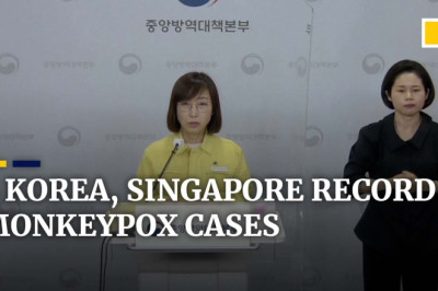 Singapore and South Korea report first monkeypox cases as global infections  surpass 2,100