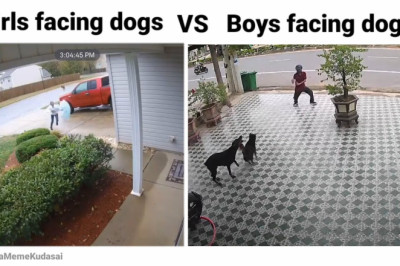 girls with animals vs boys