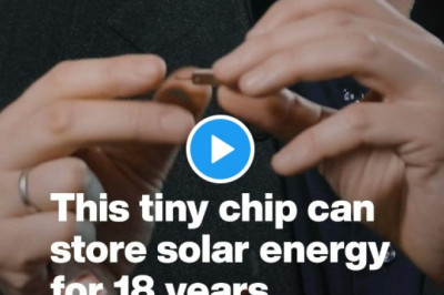 This contains a special molecule which absorbs solar energy.   Take a closer look at the power of renewable energy