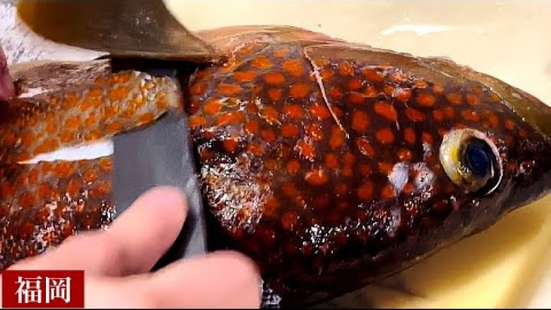 Japanese "Omakase" sushi restaurant