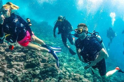 SCUBA DIVING WITH SHARKS!