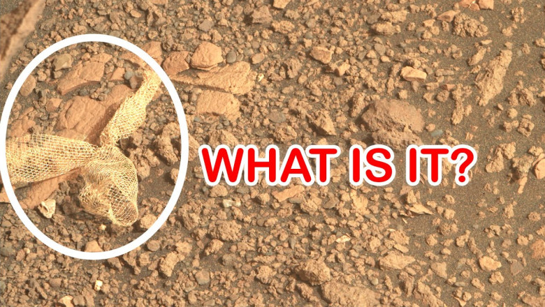 Amazing possible life sign on Mars spotted by Perseverce Rover.