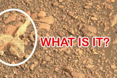 Amazing possible life sign on Mars spotted by Perseverce Rover.