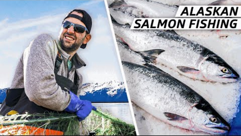 How to Catch the Most Expensive Salmon in the World — Dan Does | Nexth City