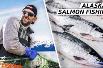 How to Catch the Most Expensive Salmon in the World — Dan Does