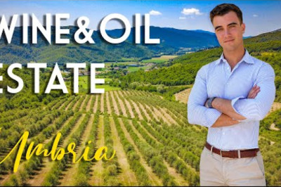 WINE AND OLIVE OIL ESTATE FOR SALE IN UMBRIA | ROMOLINI