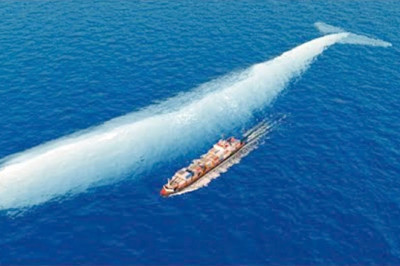 This Is What Biggest Whale In The World Can Do