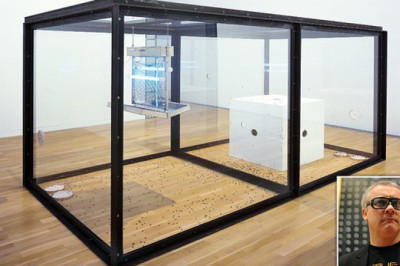 Damien Hirst art with fly-killing light removed for harming insects