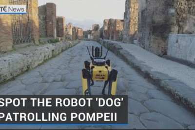 Meet Spot the robot dog for surveillance and inspection of the remains of Pompeii.