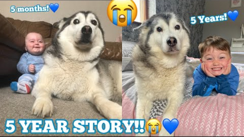 The Full 5 Year Story Of My Husky and Baby Becoming Best Friends!