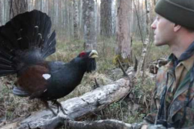Current grouse meeting