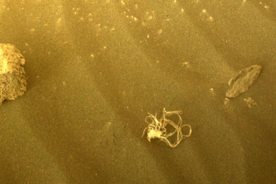 Mysterious bundle of string on Mars' surface found by Perseverance rover
