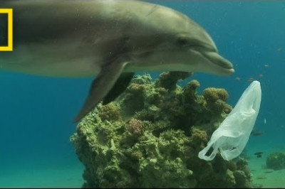 How We Can Keep Plastics Out of Our Ocean | National Geographic