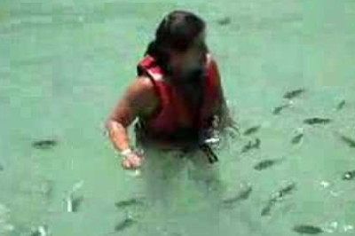 Baby shark attack
