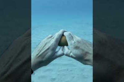 Moment Diver Cracks Egg at 45 ft Deep #Shorts