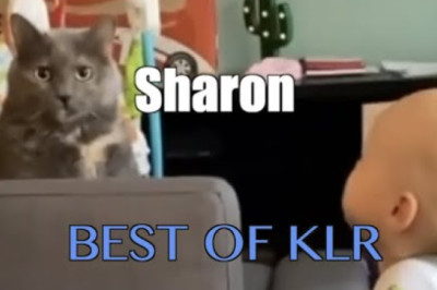 Funniest Animal Voiceovers - Ep. 6