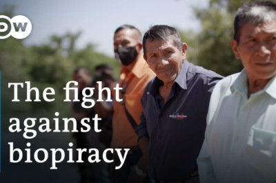 How big corporations appropriate biological resources | DW Documentary